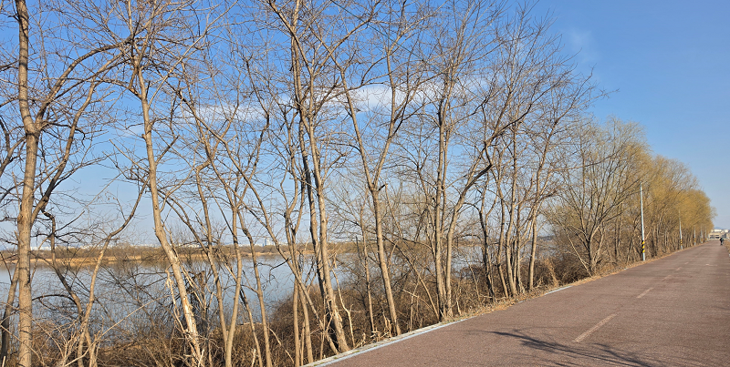 겨울을 건너야 봄길이 보인다