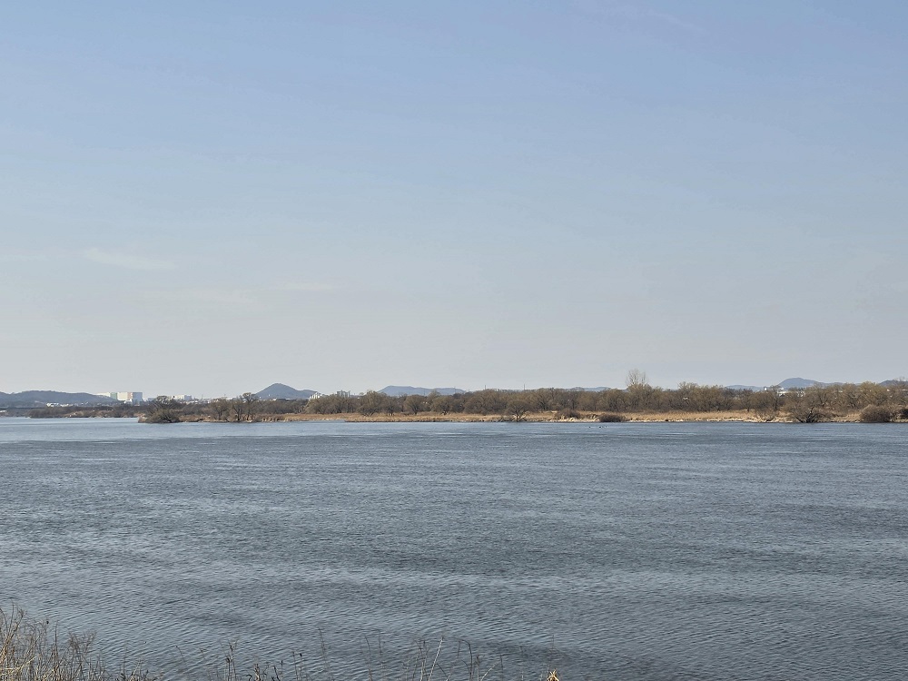 안성천에서 맞이한 봄의 향기