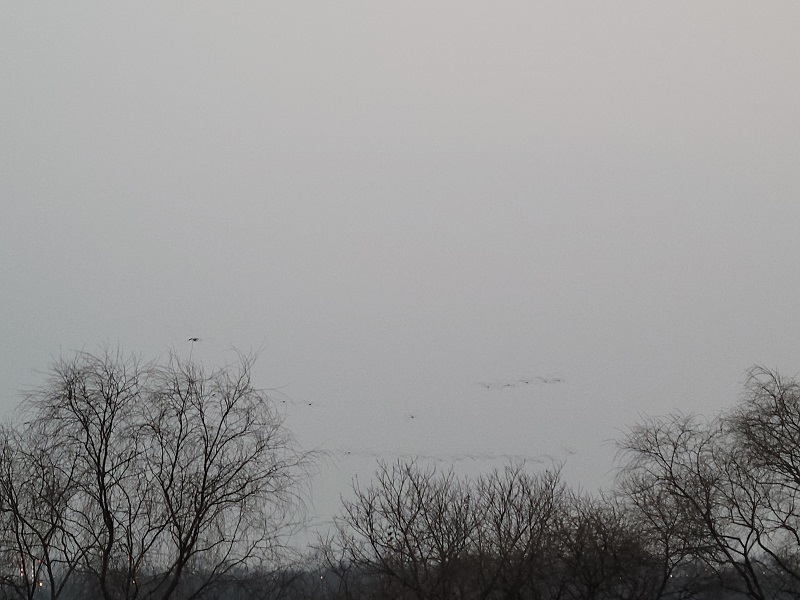 안개가 강변을 덮고 있다