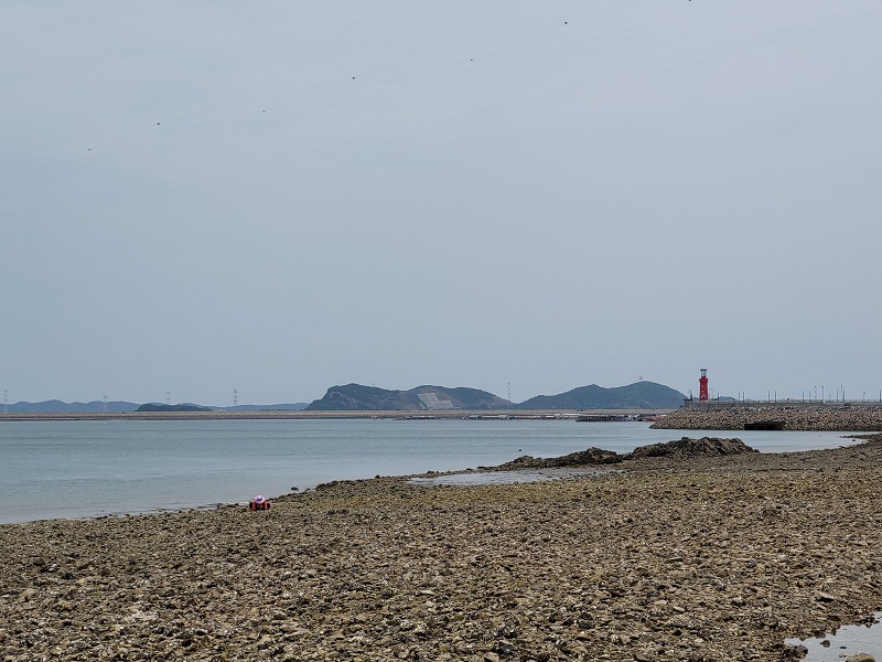 등대를 바라보라