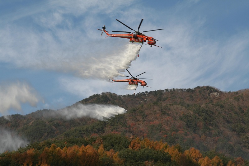 징비록의 교훈으로 다시 읽는 봄철 산불 대응