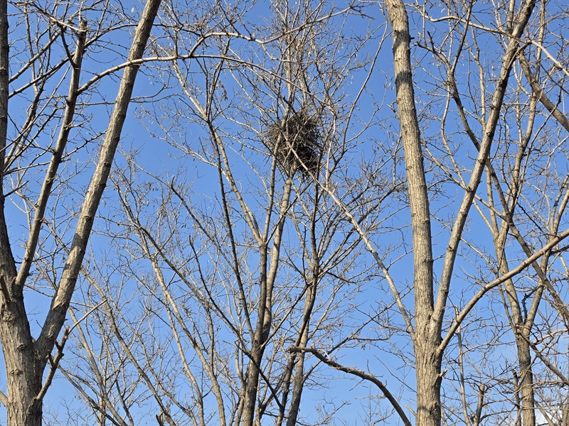 둥지가 들려주는 이야기