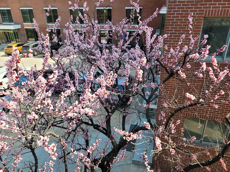 도심 한복판에 번진 고향의 정서