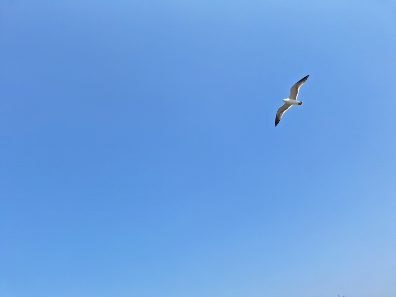 나는 과연 꿈과 이상을 추구하는 존재인가