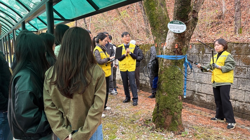 건강한 도시숲·가로수 관리로 기후위기 대응한다