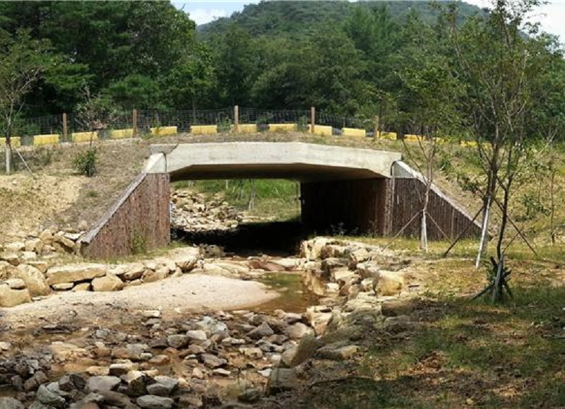 국립공원 생태통로, 로드킬 줄이고, 끊어진 서식지 연결 효과 확인
