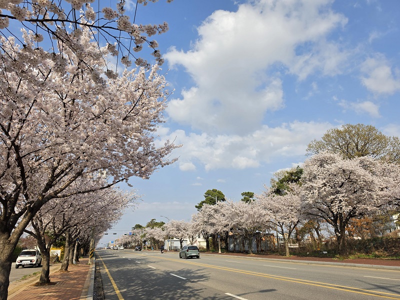 생각이 만들어 내는 세상