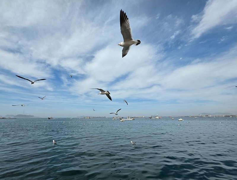 비상(飛翔)하라