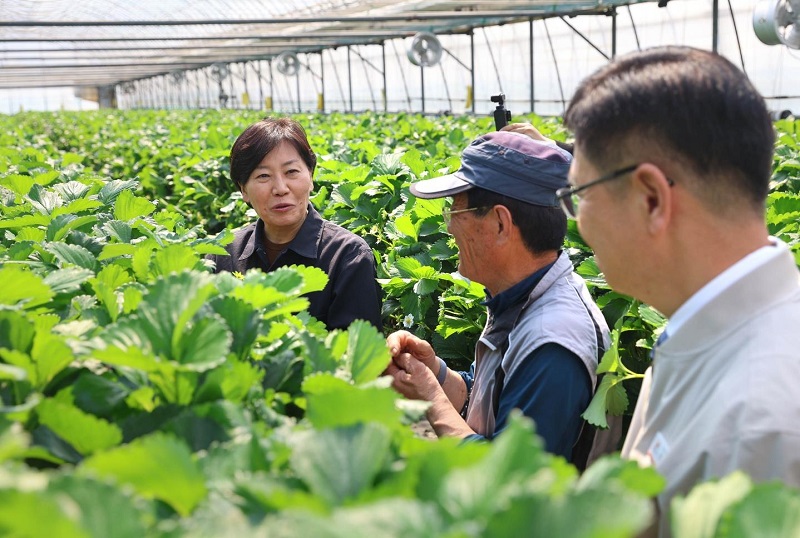 농림축산식품부 장관, 면세유 이용 현장 및 시설채소 생육 동향 점검