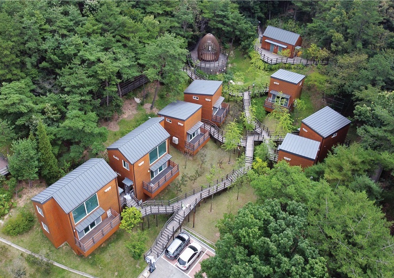 국민의 봄 여행 응원, 올봄 숲으로 떠나요