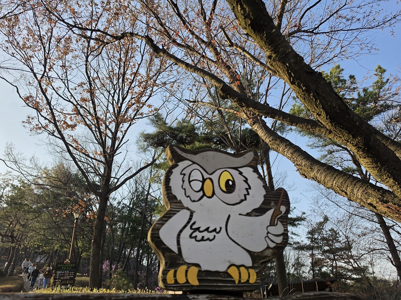 지혜가 필요하다