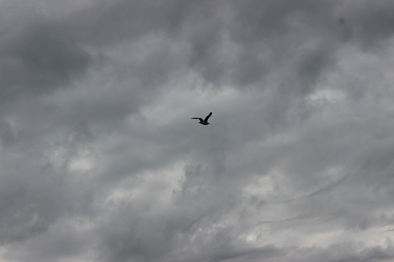 먹구름 저편의 푸른 하늘을 보자