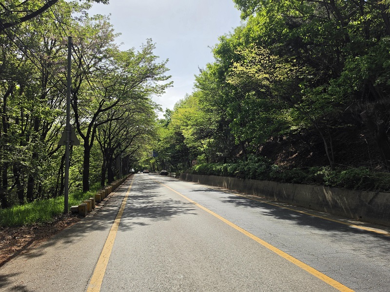 시골 도로를 달리며 느낀 소회