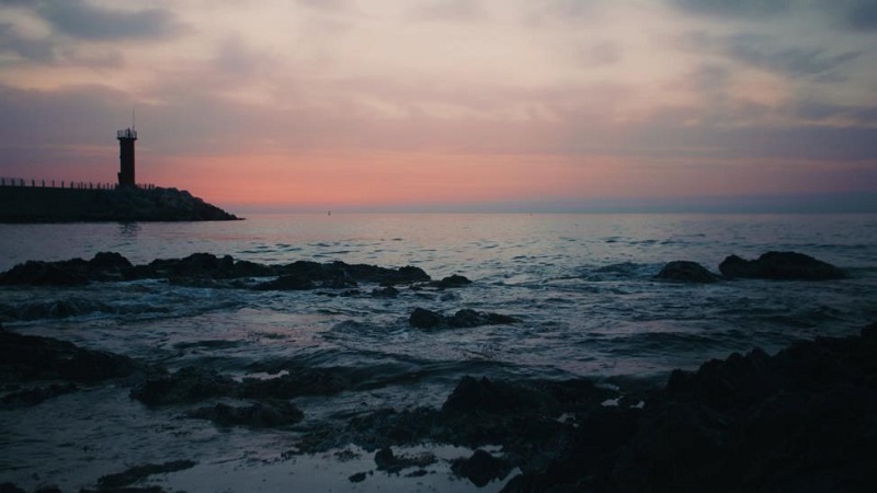 탐사 기행 다큐멘터리, 「꽁치풀: 바다의 속삭임」 방영