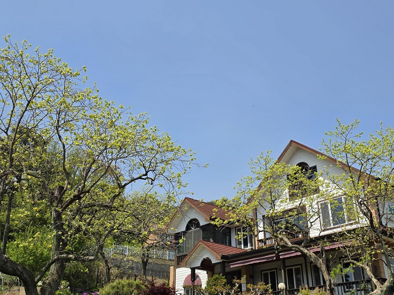 어느 가을날 보게 될 주홍빛 열매를 기대하며 