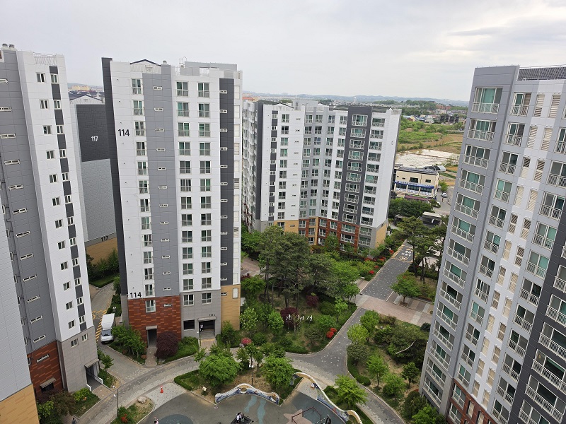 올곧은 미래를 심자