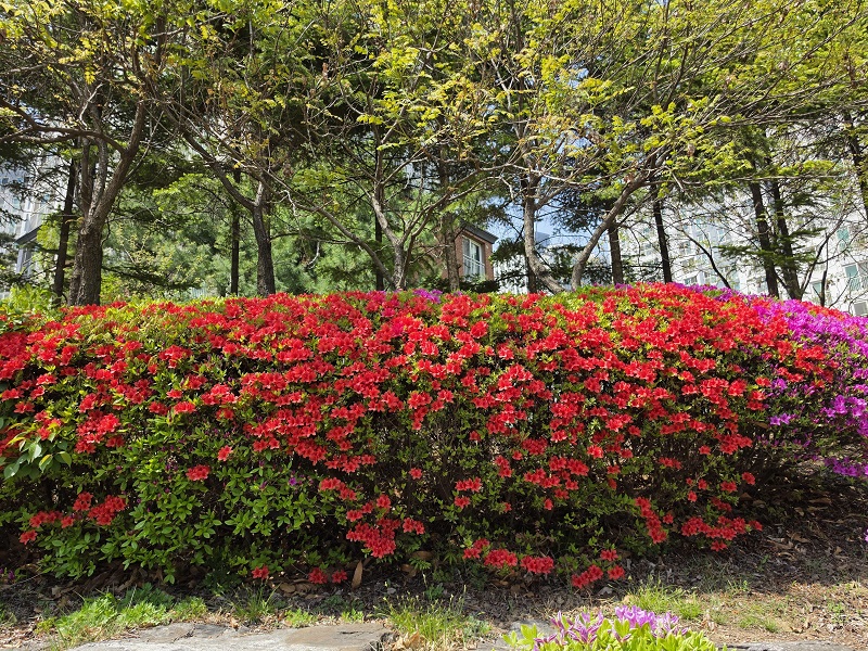 조화와 아름다움