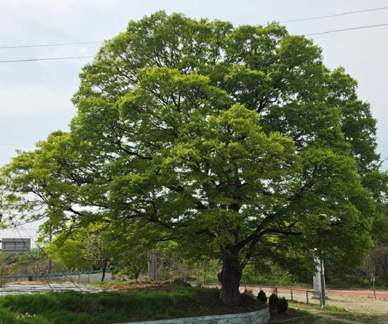 오늘이 말하는 어제와 내일 