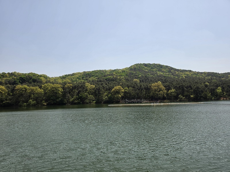 호수와 숲을 만나는 시간이 가져다준 깨달음