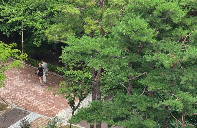 나의 자유라고 절대적인가