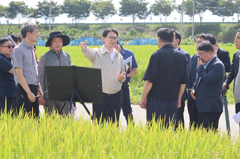 벼 작황 좋아도 쌀값은 걱정, 농식품부, 수확기 수급 관리 현장 점검