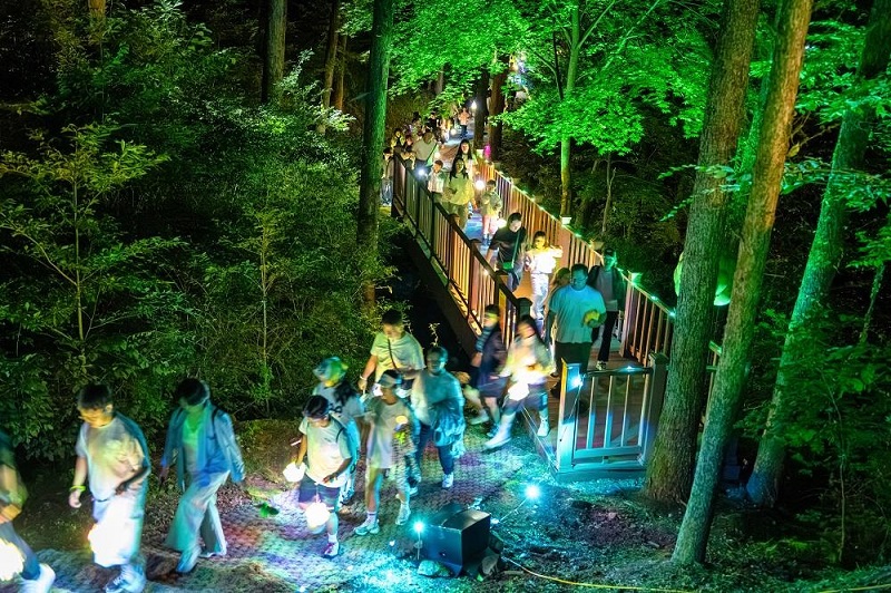 화려한 조명보다 ‘성주다운 밤’, 소도시 야간관광의 다른 해법