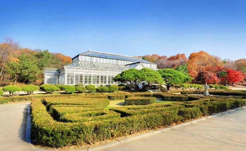 눈으로 보던 창경궁 대온실, 이제 향과 선율로 기억한다
