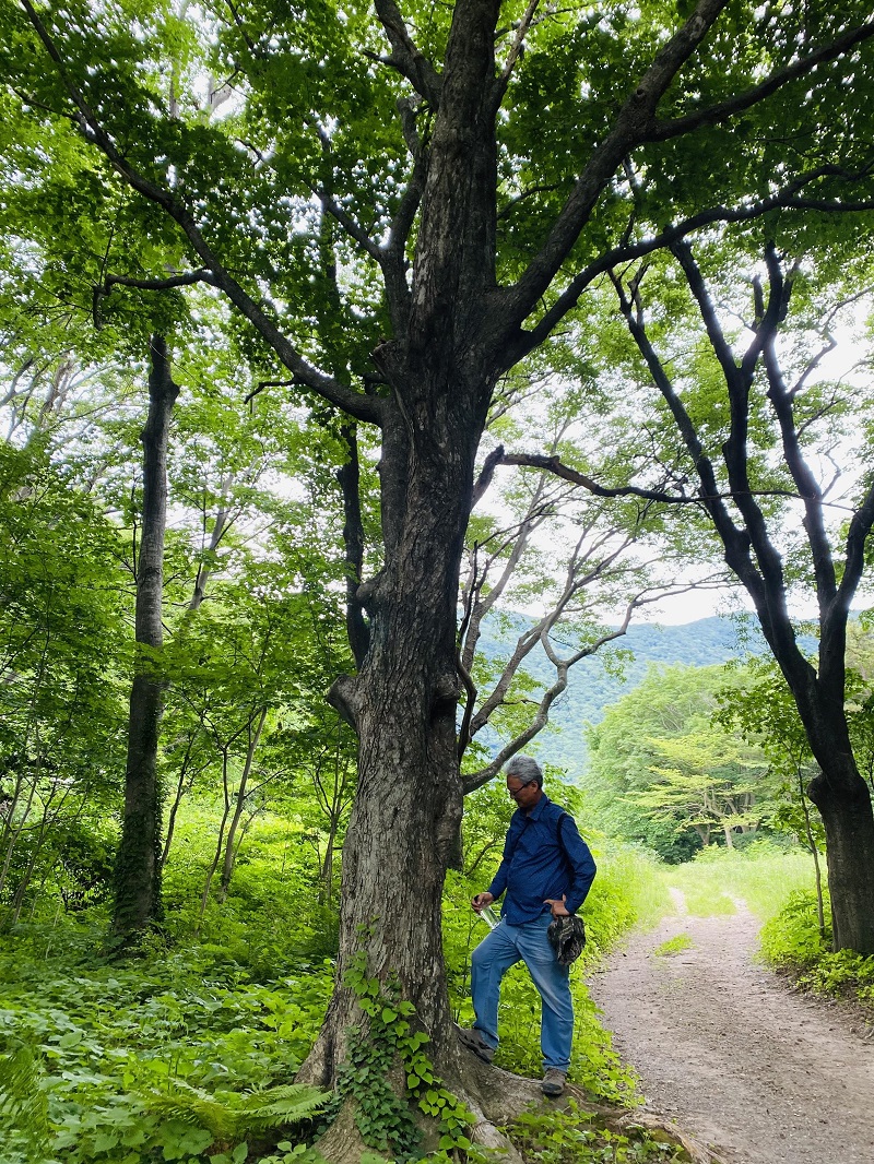울릉도의 맛을 지키면, 섬의 생명과 기억도 함께 남는다
